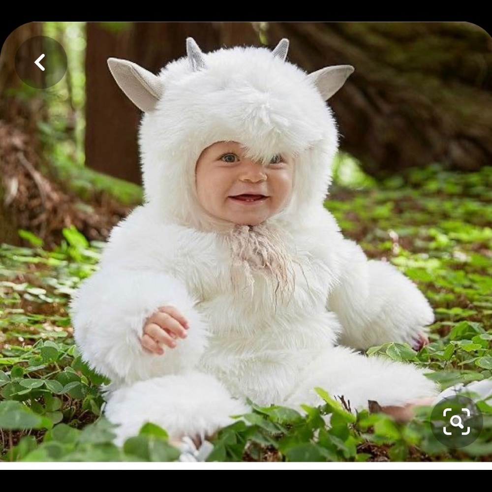 Potter Barn Kids Goat Costume 0-6 Months